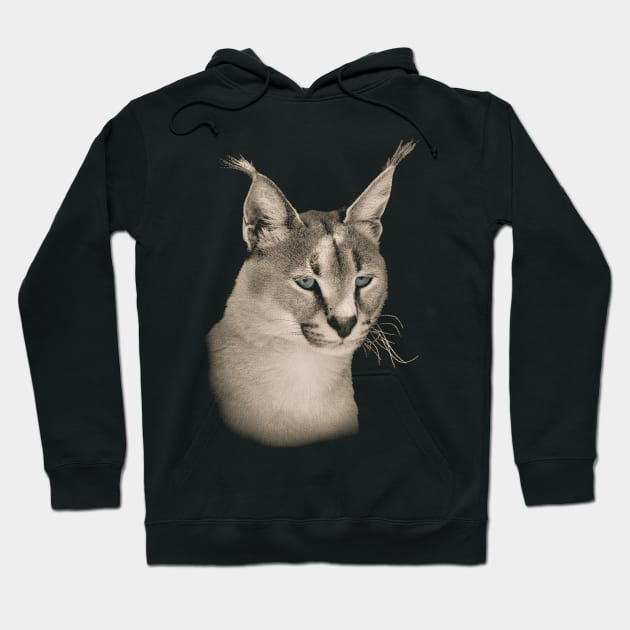 Caracal Wild Cat for Cat Lovers Hoodie by scotch